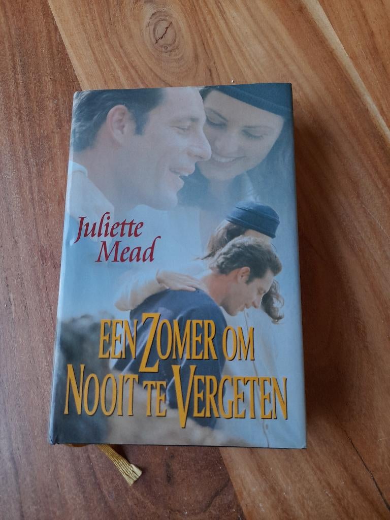 Boeken - Roman - Een Zomer om nooit te Vergeten, Boeken, Ophalen of Verzenden, Zo goed als nieuw, Juliette Mead, Europa overig