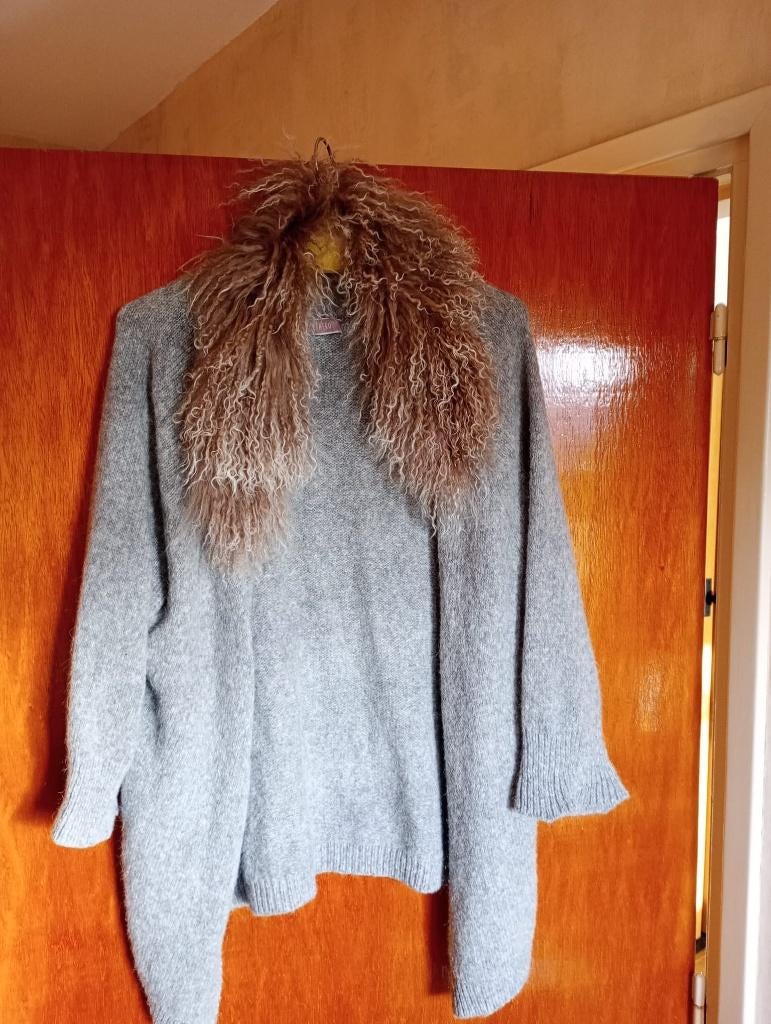 vest, Kleding | Dames, Ophalen of Verzenden, Zo goed als nieuw, Maat 42/44 (L), Overige kleuren