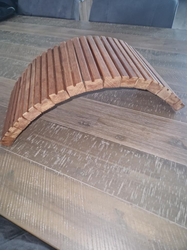 Bruggetjes voor reptielen, landschildpadden, knaagdieren, Ophalen of Verzenden, Nieuw