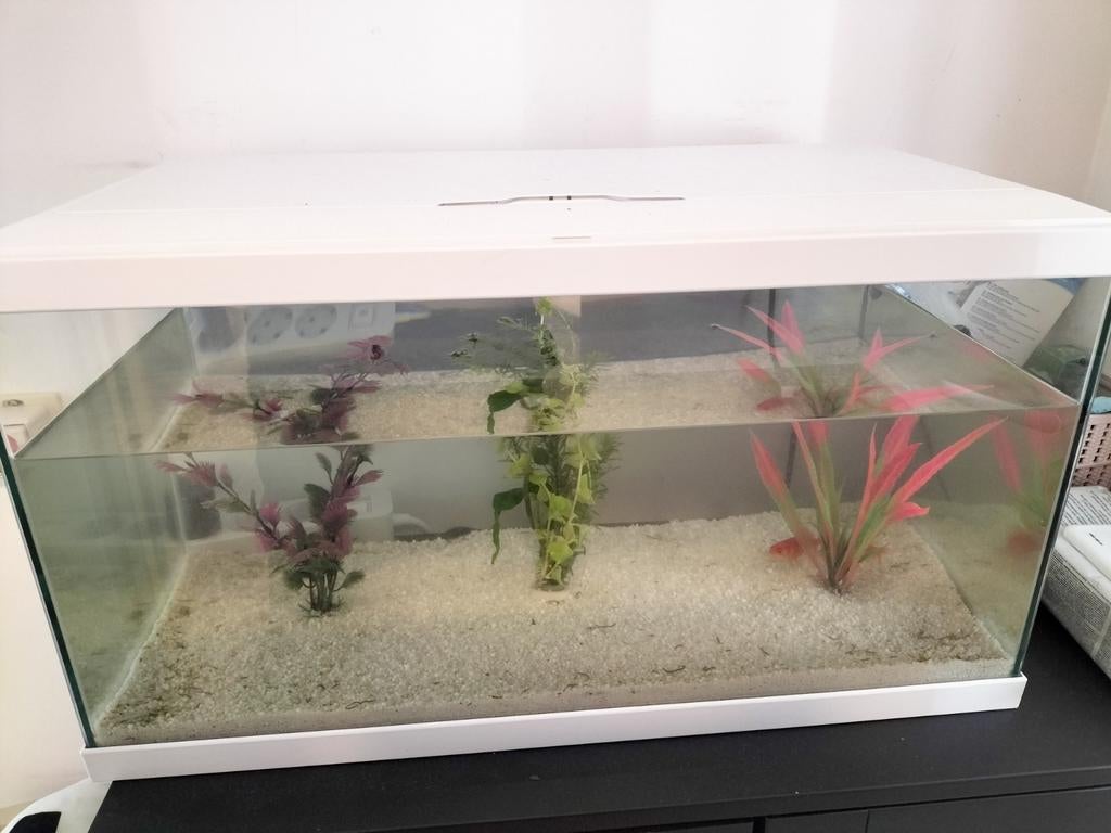 Aquarium met visjes, Ophalen of Verzenden, Zo goed als nieuw, Gevuld zoetwateraquarium