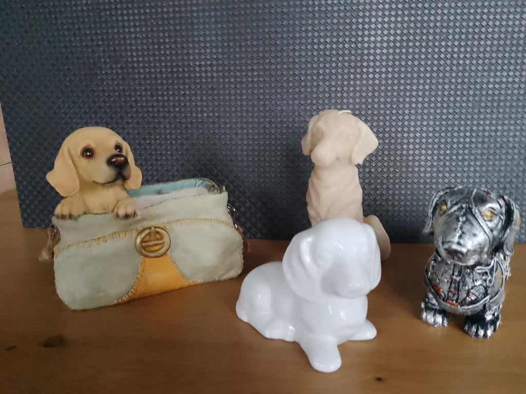 Verschillende leuke en grappige honden., Ophalen of Verzenden, Dier