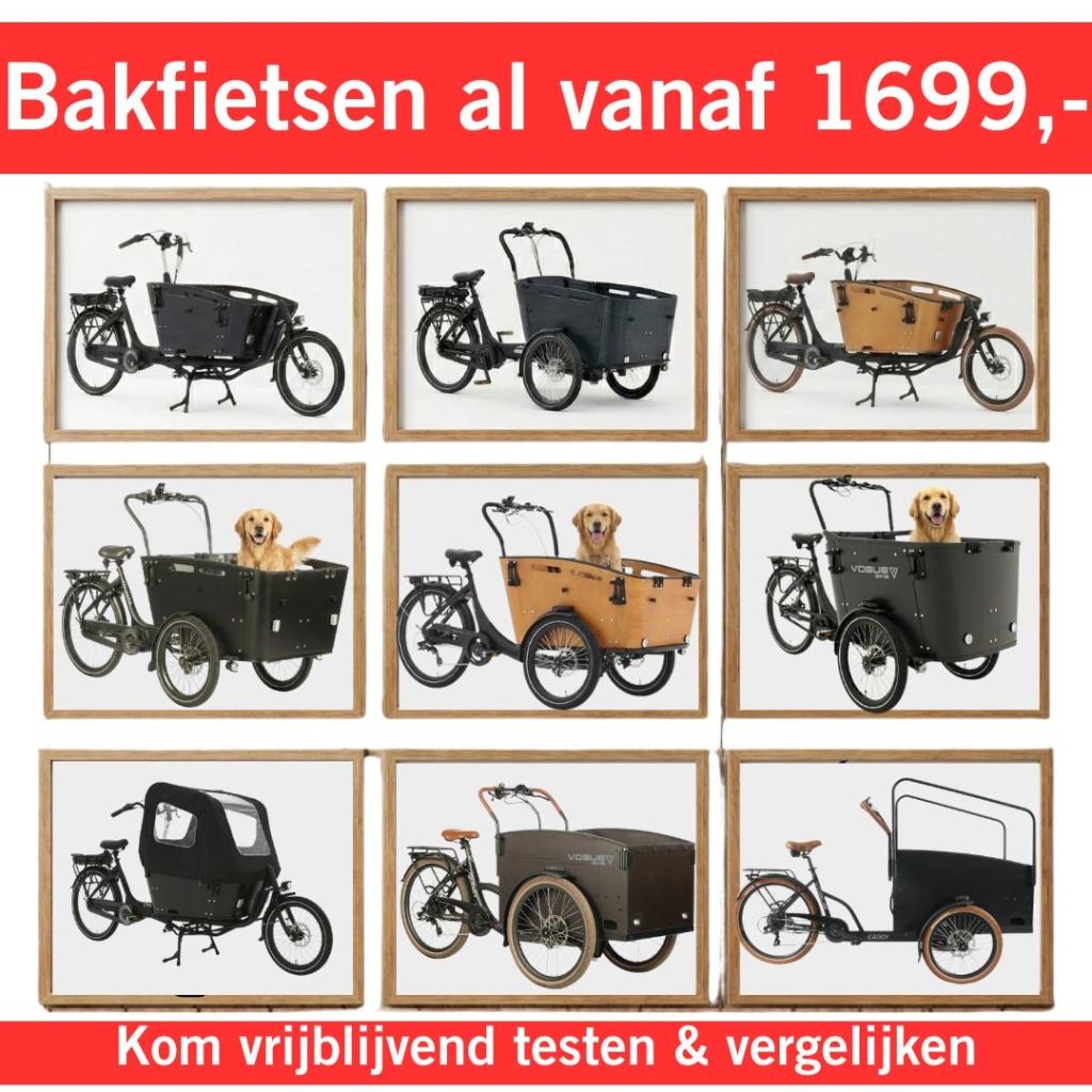 Betaalbare elektrische bakfiets & bakfietsen voor gezinnen, Overige merken, 4 kinderen of meer, Nieuw, Ophalen of Verzenden