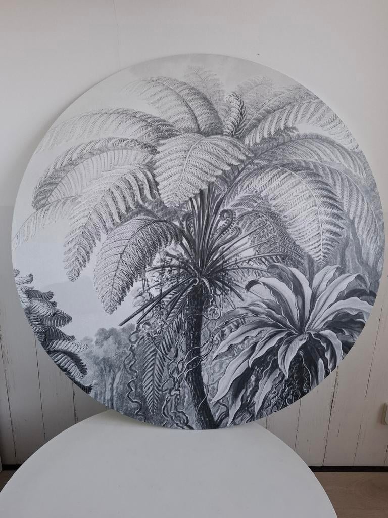 Wandbord palm van dibond, Ophalen, Nieuw