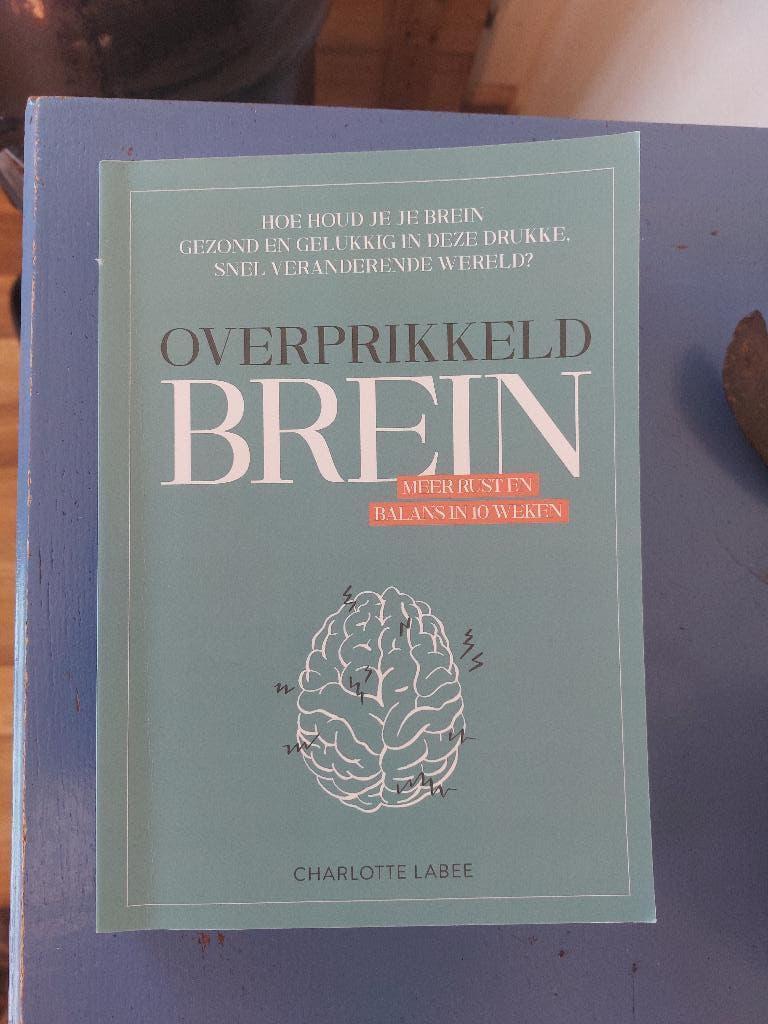 Charlotte Labee, overprikkeld brein., Ophalen of Verzenden, Zo goed als nieuw