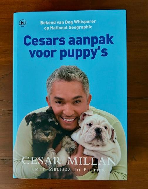 Cesars aanpak voor puppy's  - Cesar Millan, Ophalen of Verzenden, Zo goed als nieuw, Honden, Cesar Millan
