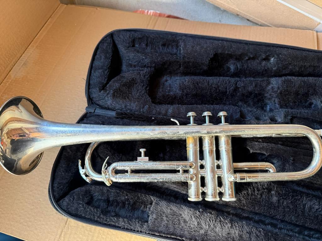 Trompet met koffer - Gebruikt, Muziek en Instrumenten, Blaasinstrumenten | Trompetten, Gebruikt, Bes-trompet, Met koffer, Ophalen of Verzenden