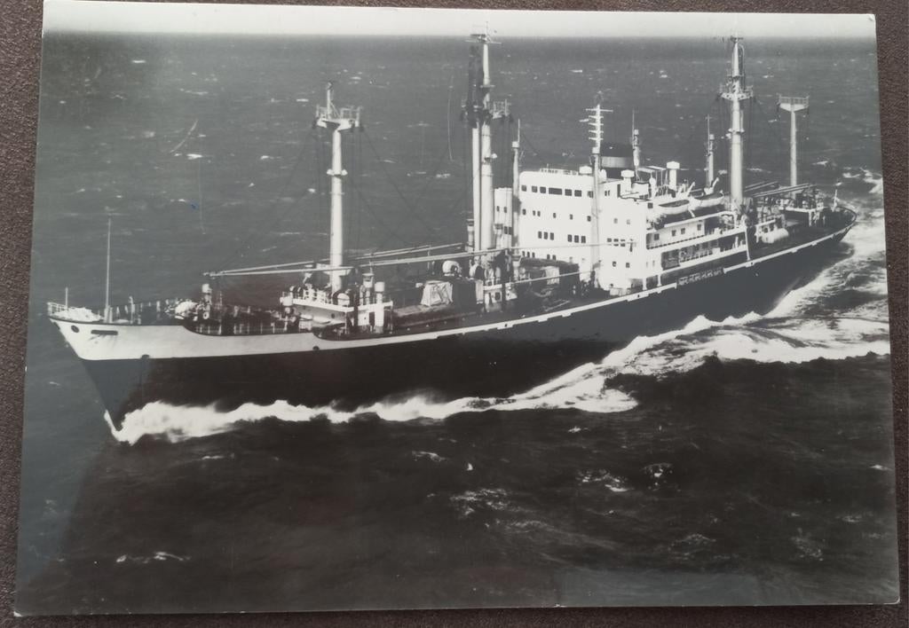 NEDLLOYD, Ophalen of Verzenden, Kaart, Foto of Prent