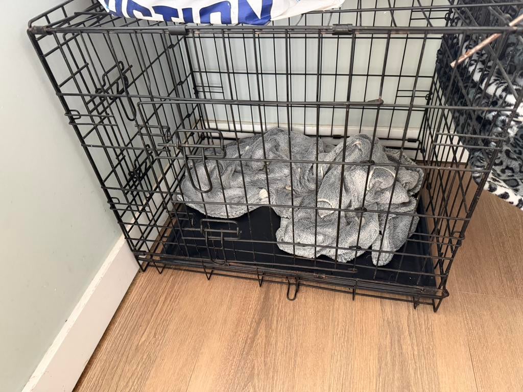 Kleine honden benz gebruikt, Ophalen of Verzenden, Zo goed als nieuw, Minder dan 75 cm, Minder dan 65 cm