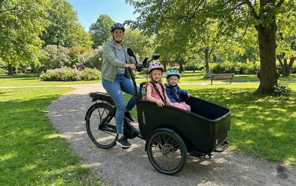 Elektrische Winther Deluxe Bakfiets, Overige merken, ExampleStreet 123, 1234AB ExampleCity, Ophalen of Verzenden, Zo goed als nieuw