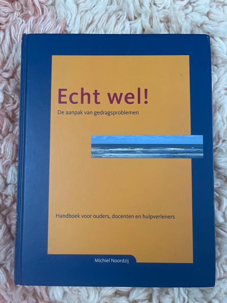 Echt wel! - Michiel Noordzij gedragsproblemen pubers, Ophalen of Verzenden, Zo goed als nieuw