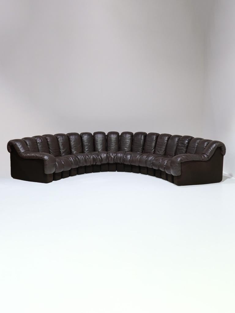 DS-600 Non-Stop Snake sofa De Sede 1970s bruin leer, Ophalen, Gebruikt, -, 100 tot 125 cm