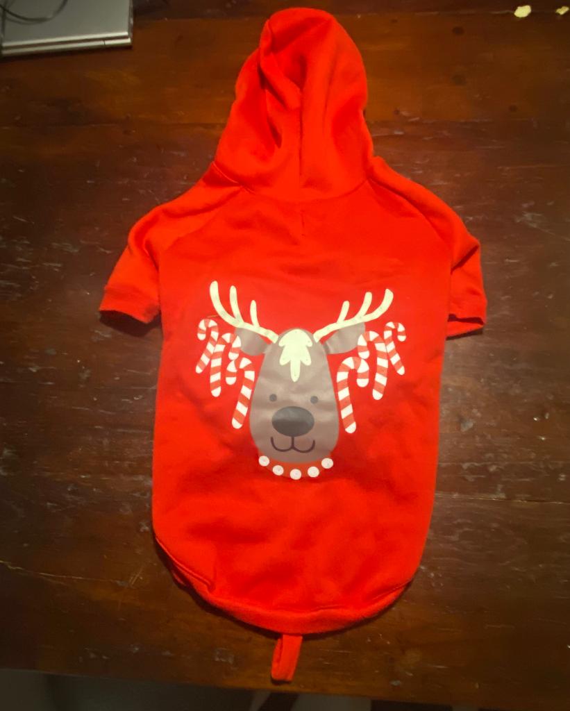 Honden trui maat M met capuchon en eventueel lichtjes, Ophalen of Verzenden, Zo goed als nieuw, Hondentrui