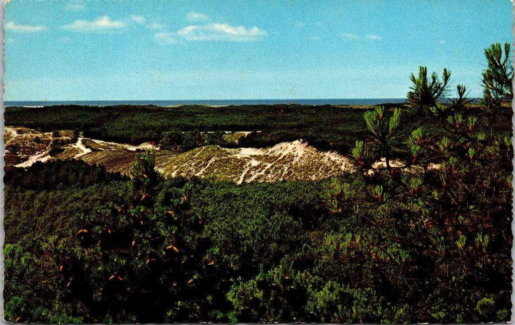 Schoorl - Duingezicht (1962), Verzamelen, Ansichtkaarten | Nederland, Verzenden, 1960 tot 1980, Gelopen, Noord-Holland