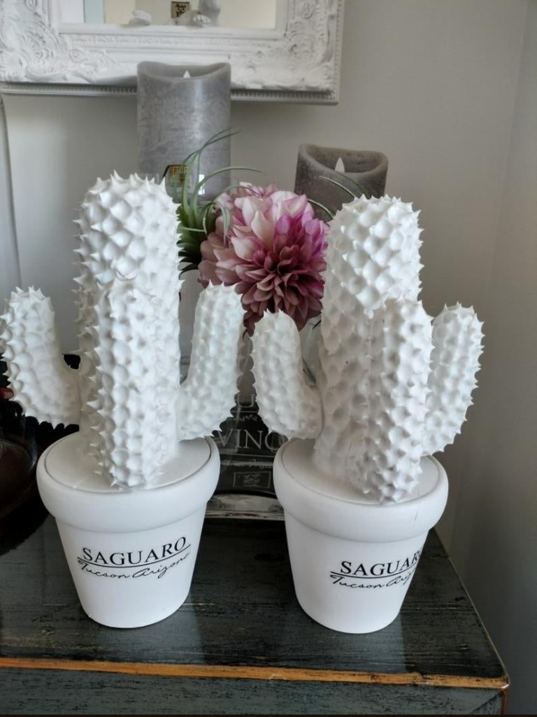 Riviera Maison Cactussen ( grootste maat), Ophalen of Verzenden, Zo goed als nieuw