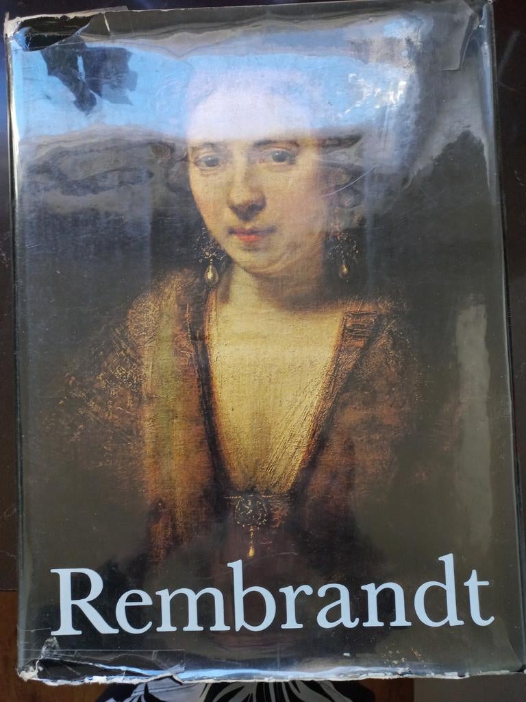 Rembrandt, Boeken, Kunst en Cultuur | Beeldend, Gelezen, Ophalen