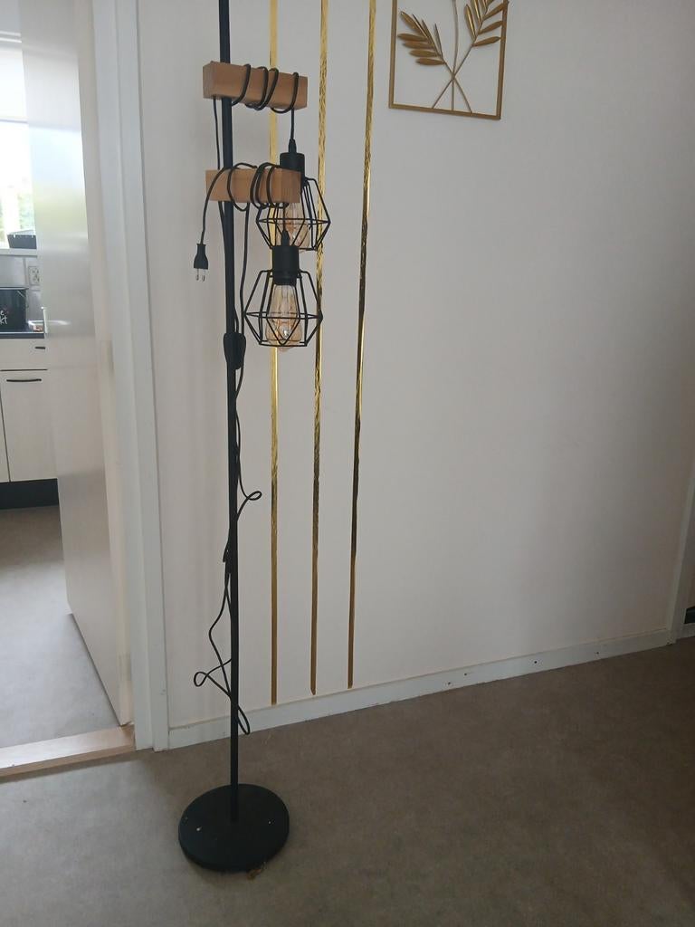 Vloerlamp met 2 kooilampen en houten accenten, Ophalen