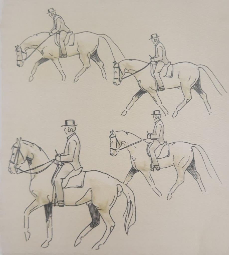 Dressuur instructie klassieke rijkunst, Dieren en Toebehoren, Paarden en Pony's | Overige Paardenspullen, Nieuw, Dressuur, Ophalen of Verzenden