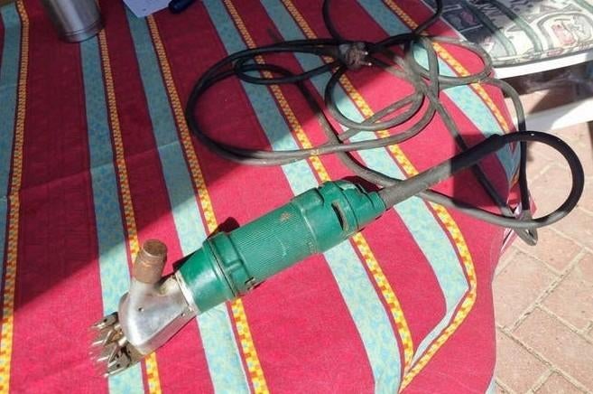 Veescheerapparaat werkend, Mannelijk, Schaap