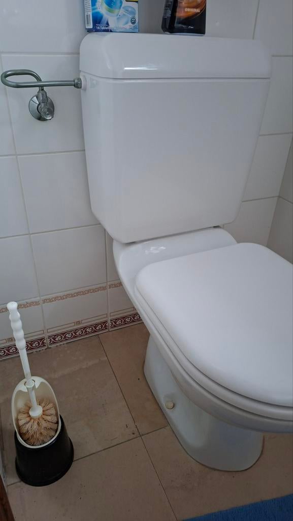 Wit staand toilet met stortbak, Doe-het-zelf en Verbouw, Sanitair, Ophalen