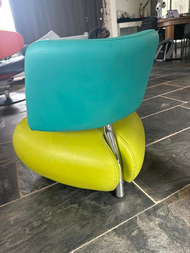 Leolux Pallone Puppy (Lil) skai leder lime/aqua, Ophalen, Kunststof, Gebruikt, Overige kleuren