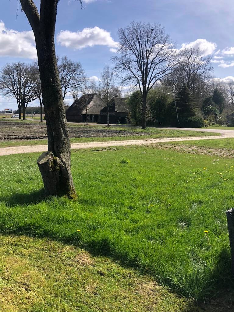 Gezocht kippenhok gratis iemand die van zijn kippen af wil, Ophalen of Verzenden, Kippenhok of Kippenren