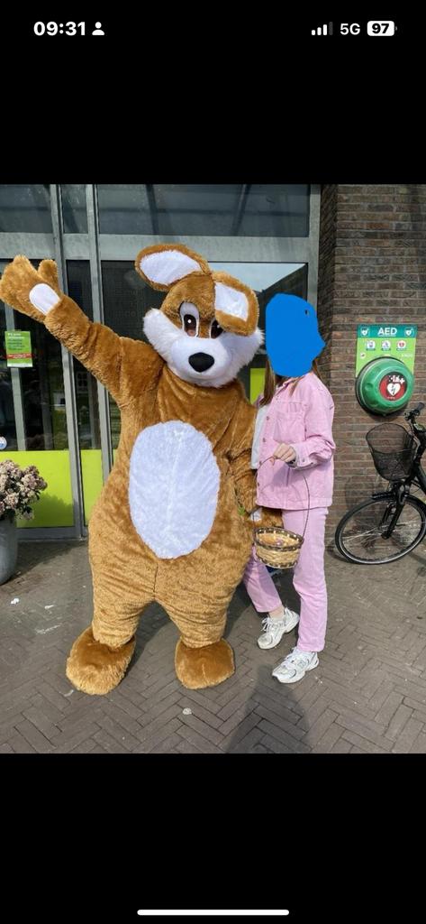 Leuk Paashaas pak te huur - pasen pak haas € 30,- per dag, Ophalen, Zo goed als nieuw, Overige