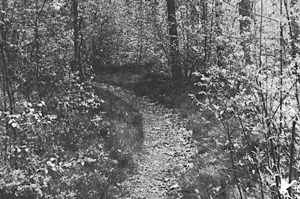 950658 Hierden Gld 1964 Vakantiecentrum De Woudstee Gelopen, Ophalen of Verzenden, 1960 tot 1980, Gelopen, Gelderland