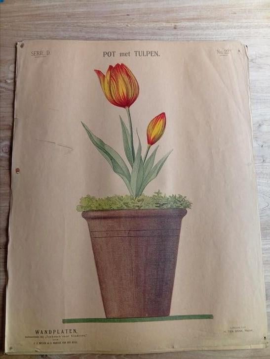 33 Schoolplaten wandplaten teekenen voor kinderen., Antiek en Kunst, Antiek | Schoolplaten, Ophalen