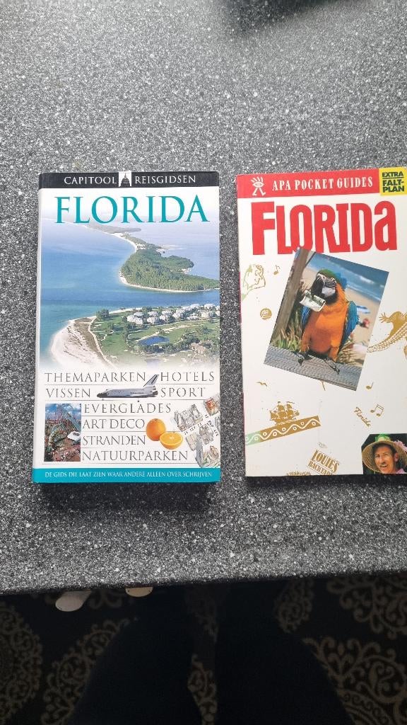 Reisgids Californië Capitool  620 blz. en APA gids, Capitool, Ophalen of Verzenden, Zo goed als nieuw, Reisgids of -boek