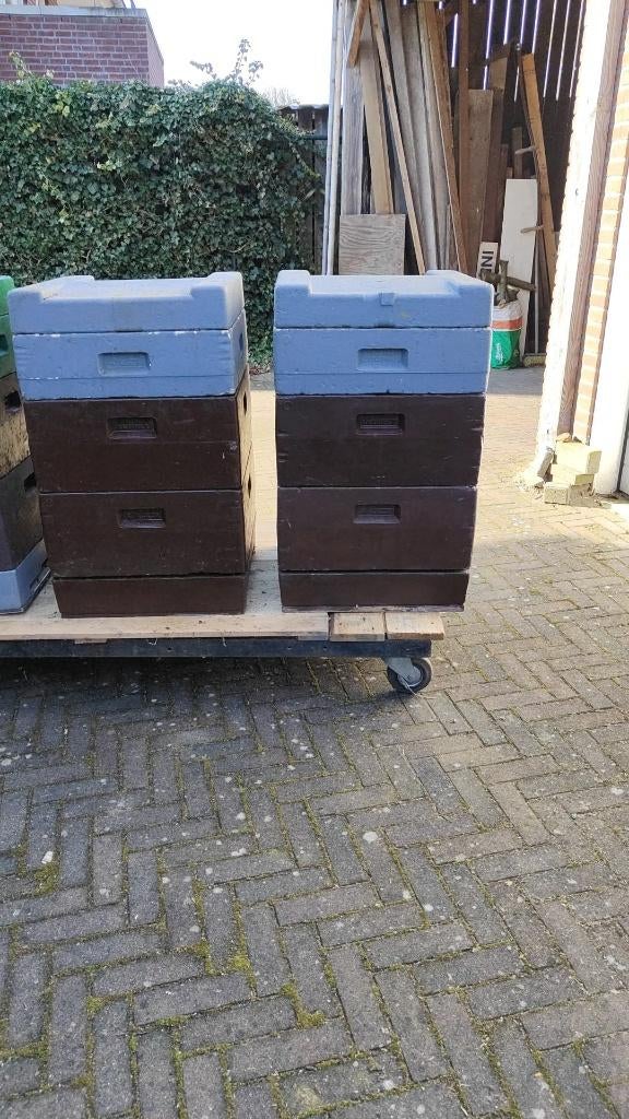 bijenkast, Dieren en Toebehoren, Bijen