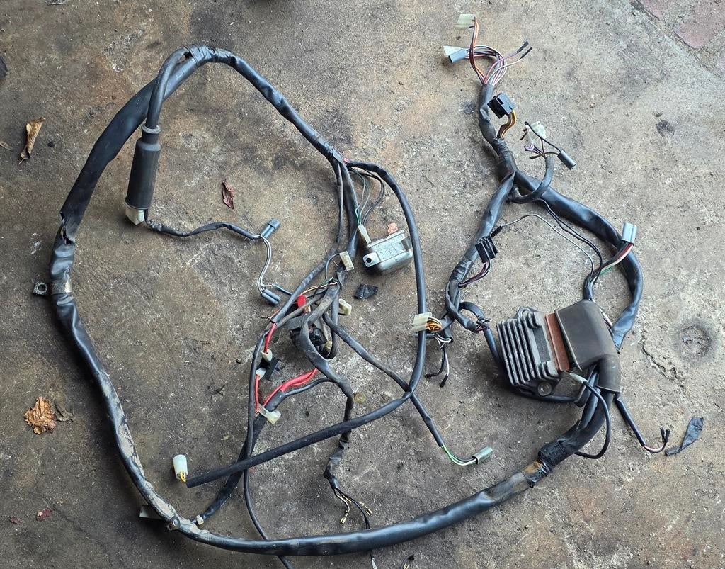 Complete kabelboom Piaggio SKR 125cc 150cc 2takt, Ophalen