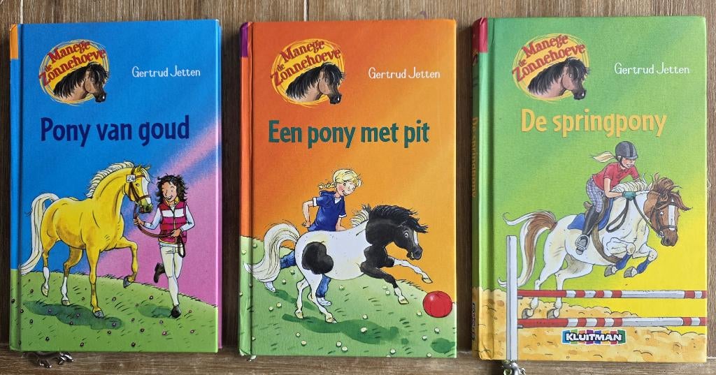 Manege De Zonnehoeve - Gertrud Jetten, Boeken, Ophalen of Verzenden, Zo goed als nieuw, Gertrud Jetten, Fictie algemeen