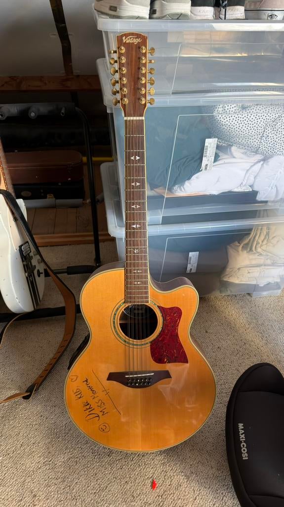 Vintage 12 snarige gitaar, Muziek en Instrumenten, Ophalen, Zo goed als nieuw, Western- of Steelstringgitaar