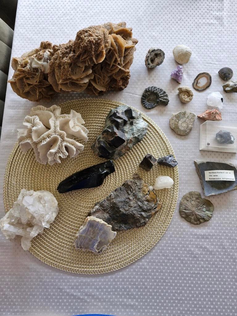 Verzameling stenen en fossielen, Verzamelen, Mineralen en Fossielen, Ophalen of Verzenden