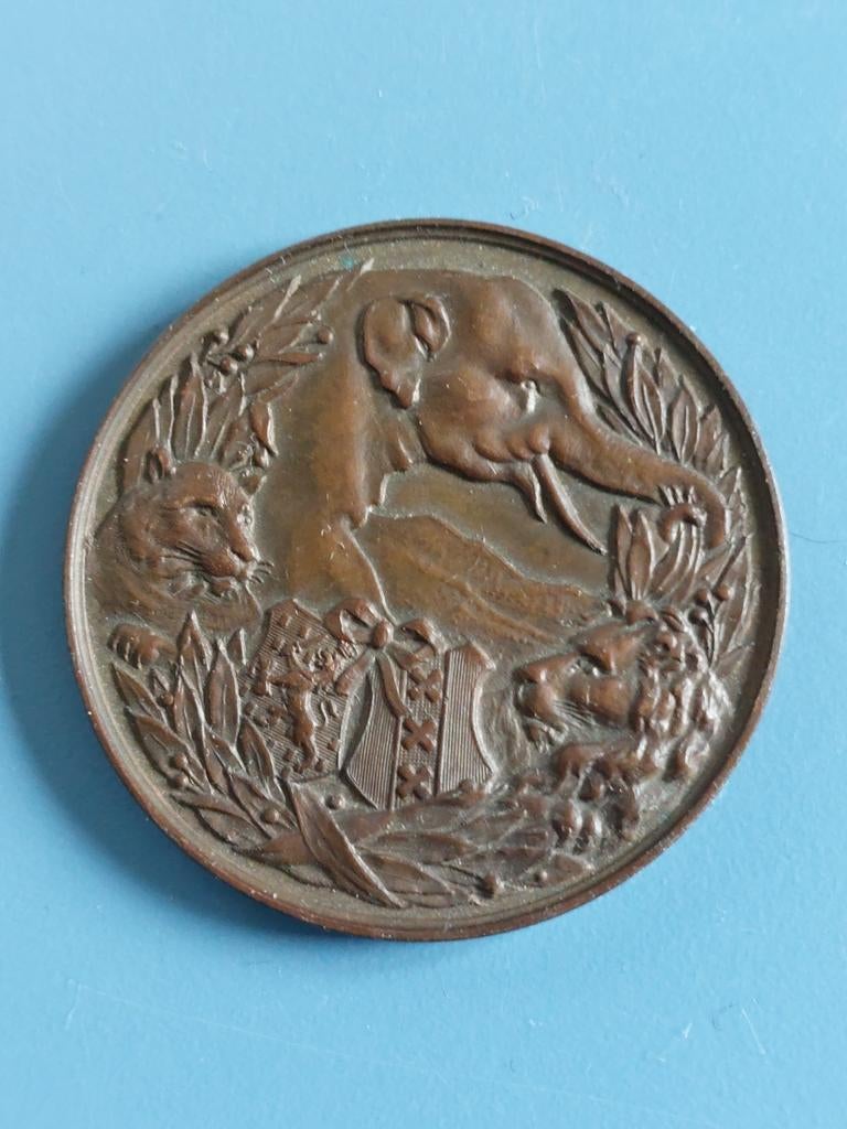 Penning 50 jaar artis 1888, Postzegels en Munten, Ophalen of Verzenden, Brons, Nederland