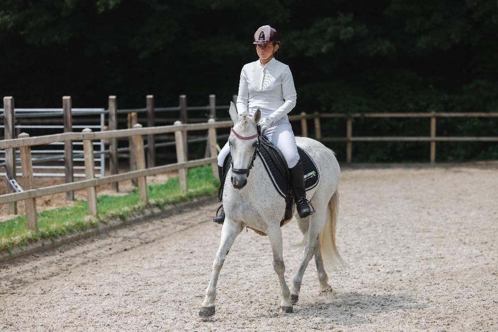 Lease stal voor buitenritten, lease en lessen!, Stalling, 4 paarden of pony's of meer