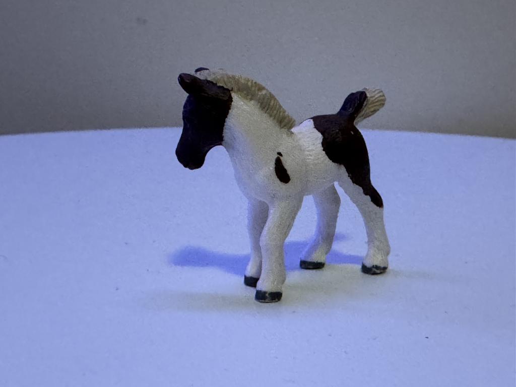 Falabella veulen – nr. 13687, Ophalen of Verzenden, Zo goed als nieuw