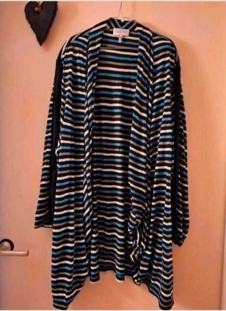 Chalou - streepvest maat 54/56, Kleding | Dames, Grote Maten, Trui of Vest, Chalou, Zo goed als nieuw, Verzenden