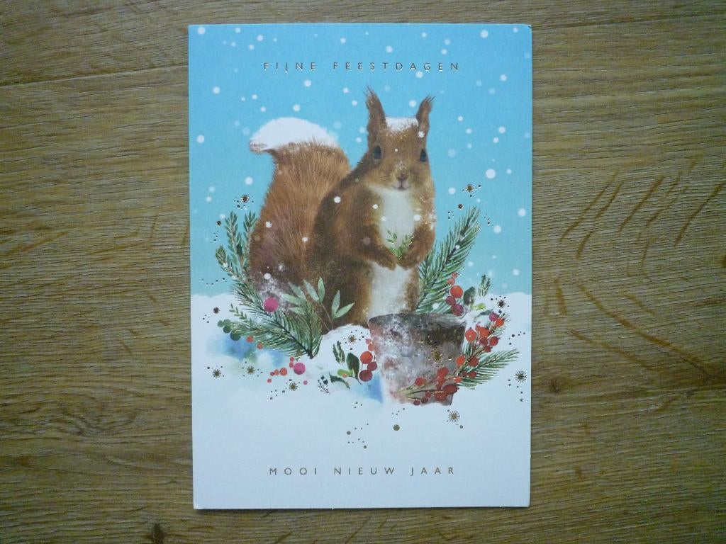 Eekhoorn, Ophalen of Verzenden, 1980 tot heden, Hond of Kat