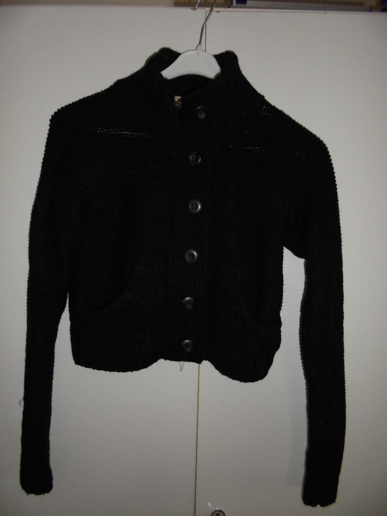 Vestje van D-zine maat 176, Ophalen of Verzenden, Zo goed als nieuw, Meisje, Trui of Vest