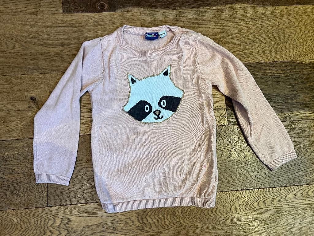 Roze trui maat 110 met wasbeer Lupilu, Gebruikt, Meisje, Trui of Vest, Ophalen of Verzenden