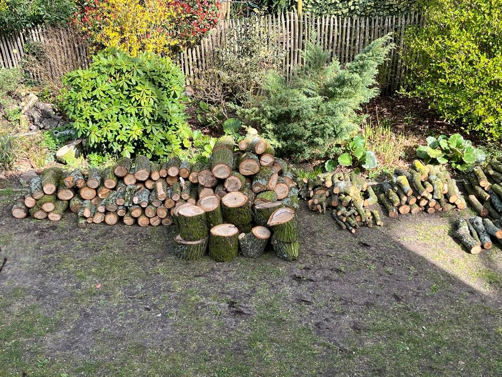 Haardhout eiken 6 m3 verschillende diktes, Tuin en Terras, Haardhout, 6 m³ of meer, Ophalen, Eikenhout