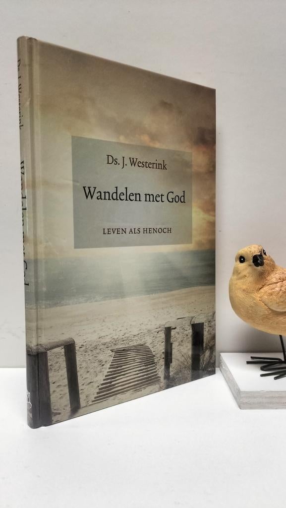 Westerink, Ds. J.; Wandelen met God (leven als Henoch), Ophalen of Verzenden, Gelezen, Christendom | Protestants