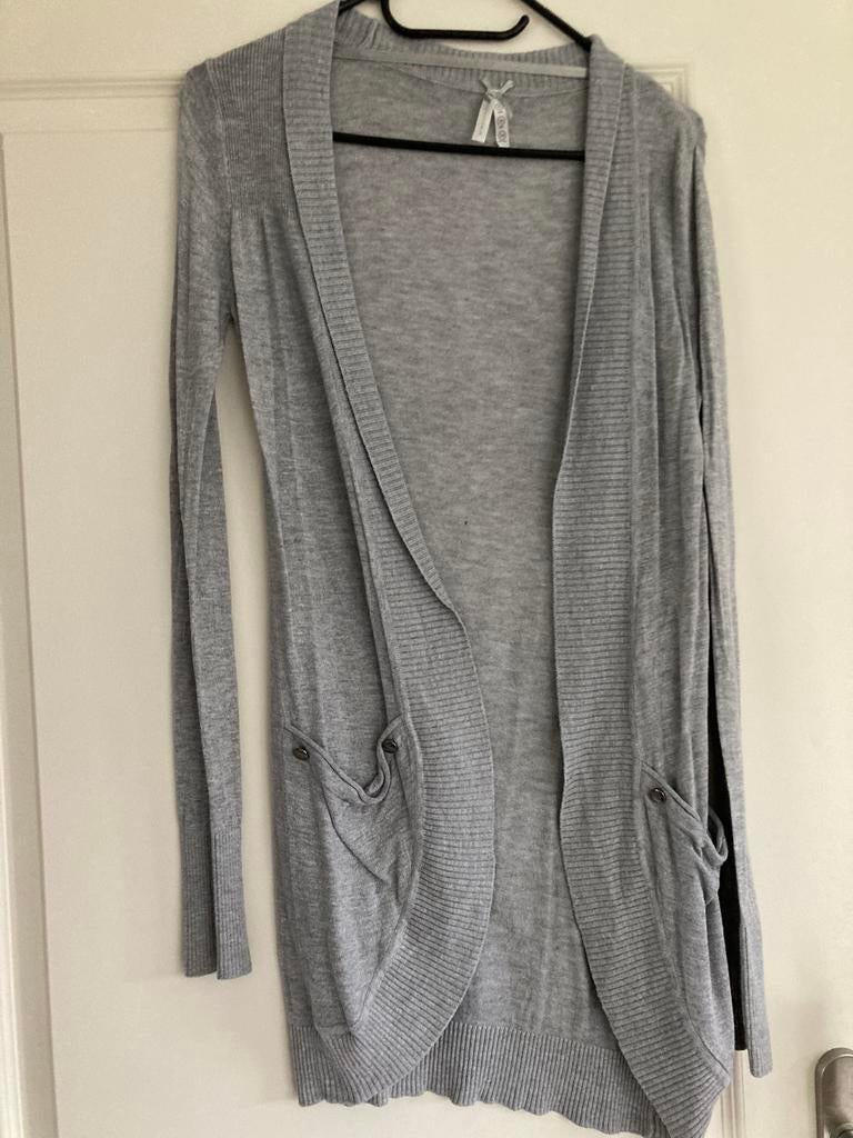 Grijs lang vest maat 34, Ophalen of Verzenden, Zo goed als nieuw, Maat 34 (XS) of kleiner, Grijs