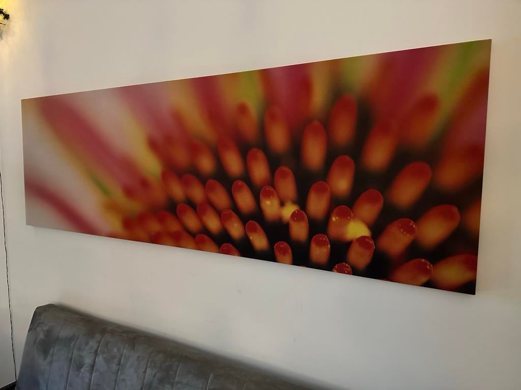 Schilderij bloem close-up, Huis en Inrichting, Woonaccessoires | Schilderijen, Tekeningen en Foto's, Gebruikt, Ophalen of Verzenden