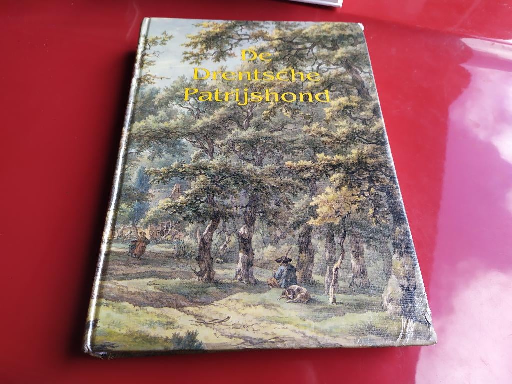 De Drentsche Patrijshond, Ophalen of Verzenden, Honden