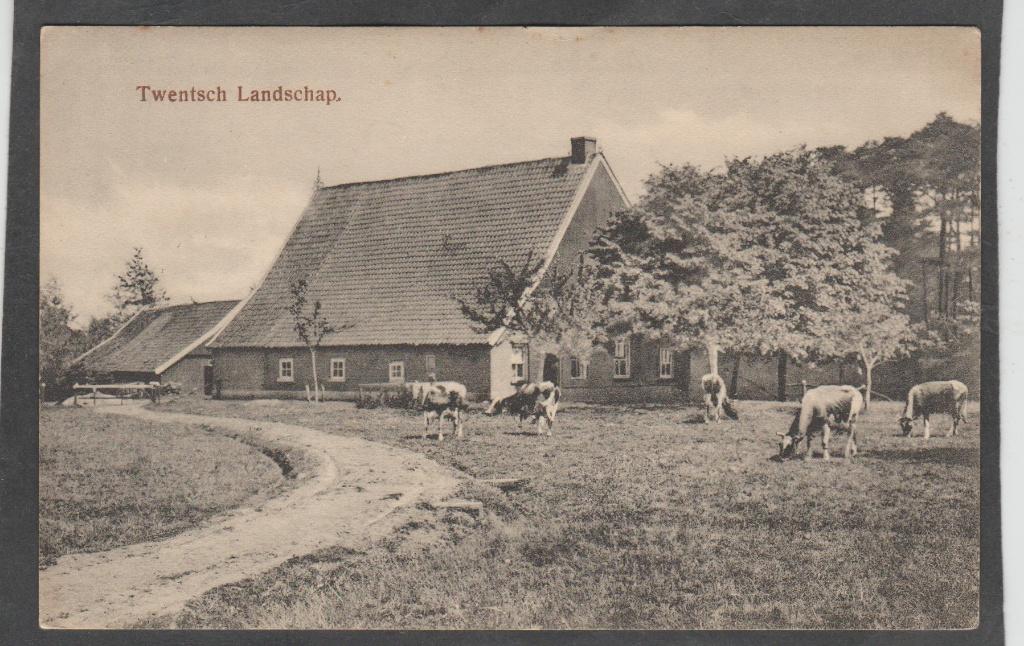 twentsch landschap boerderij met koeien, Verzenden, Voor 1920, Gelopen, Overijssel