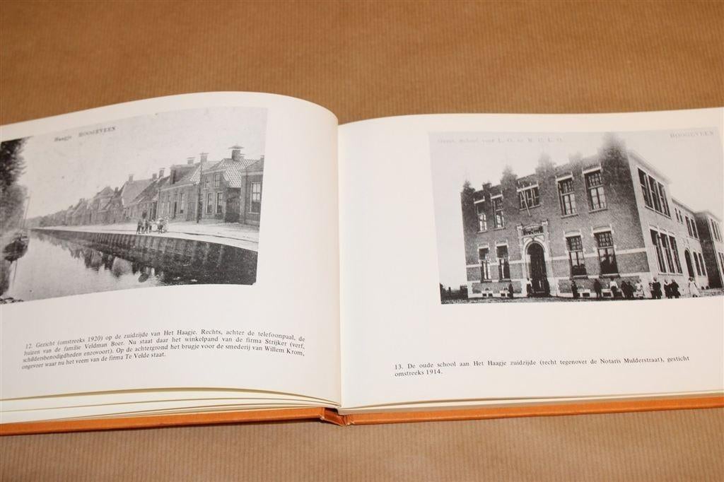 Hoogeveen in Oude Ansichten — Hollandsche Veld, Elim, Boeken, Ophalen of Verzenden, Gelezen