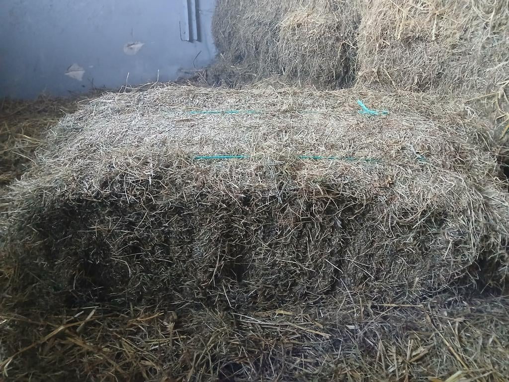 Hooi, Zakelijke goederen, Agrarisch | Veevoer, Ophalen