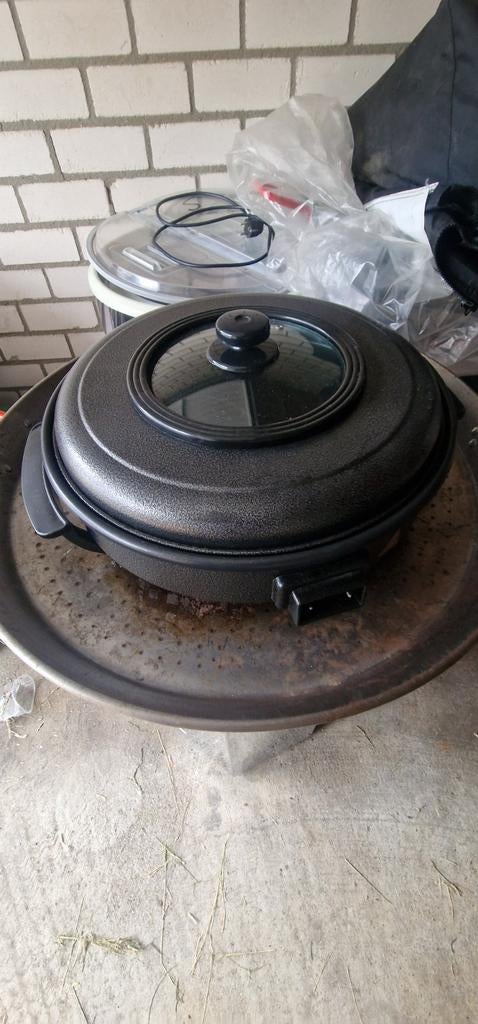 Aangeboden hendi partypan, Ophalen of Verzenden